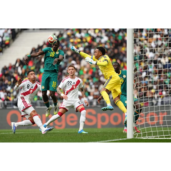 elk-mkkty.com.cn APP | MKSPORTS MKSports