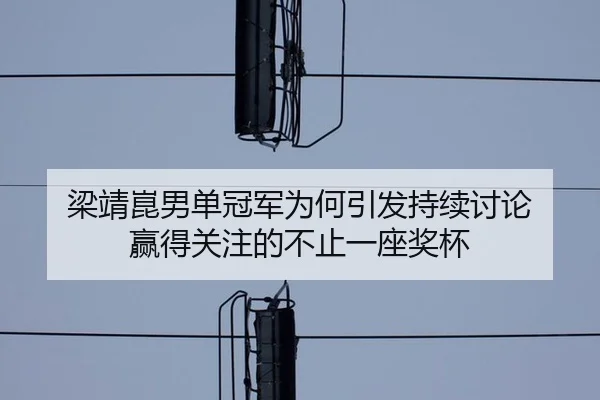 梁靖崑男单冠军为何引发持续讨论 赢得关注的不止一座奖杯